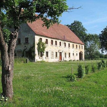 Agroturystyka Dom Pod Sowa Nawojow Luzycki Exterior foto