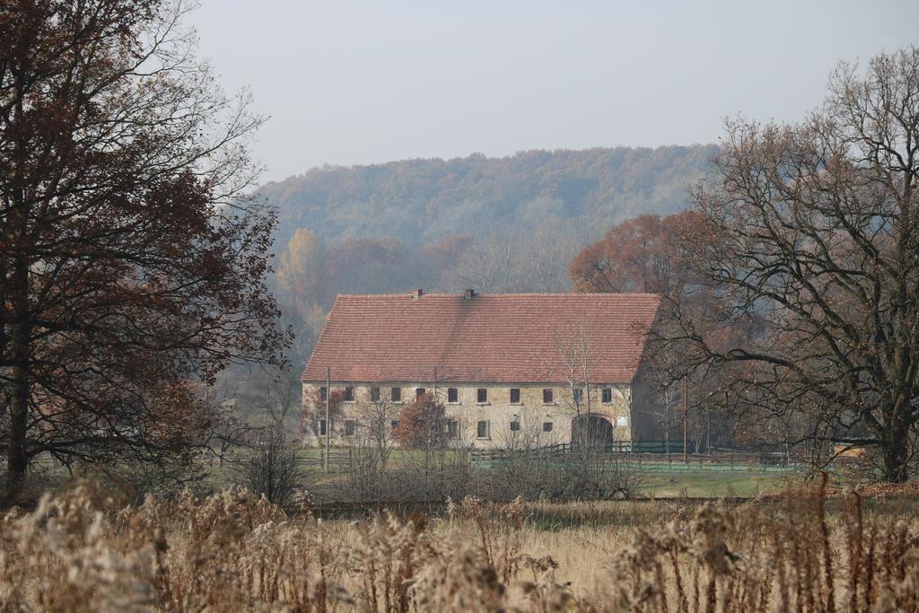 Agroturystyka Dom Pod Sowa Nawojow Luzycki Exterior foto